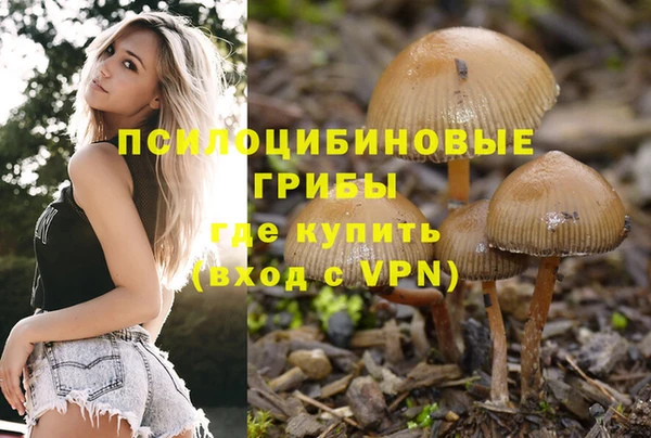 гидропоника Лагань