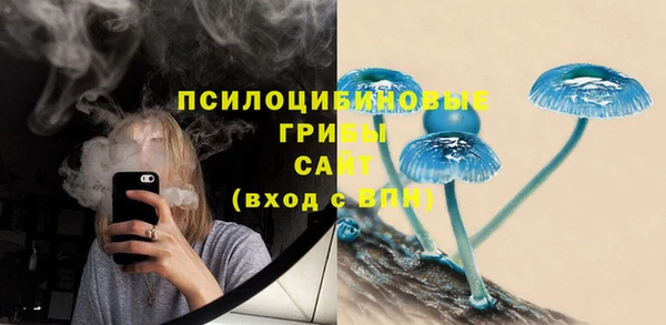 а пвп мука Козловка