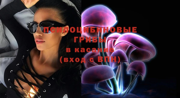 а пвп мука Козловка