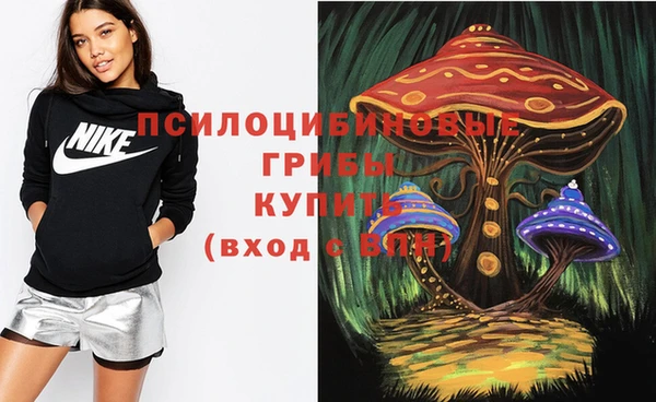 бошки Козельск